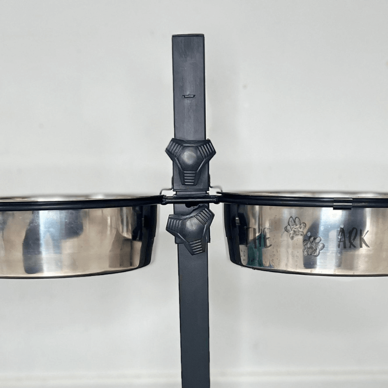 BuddyBowl - Bols réglable en hauteur