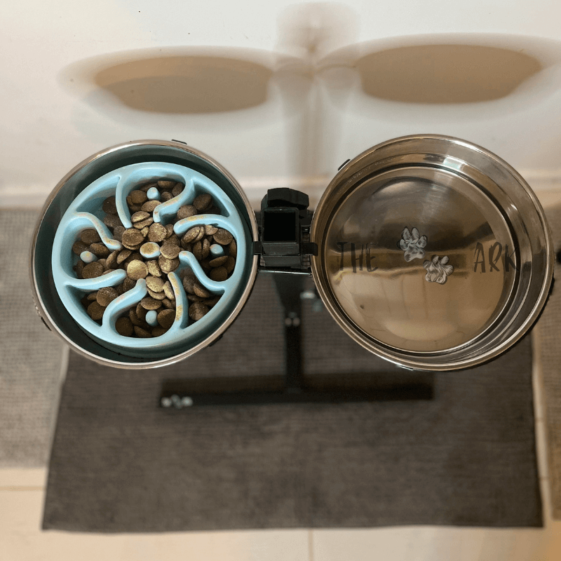 BuddyBowl - Bols réglable en hauteur