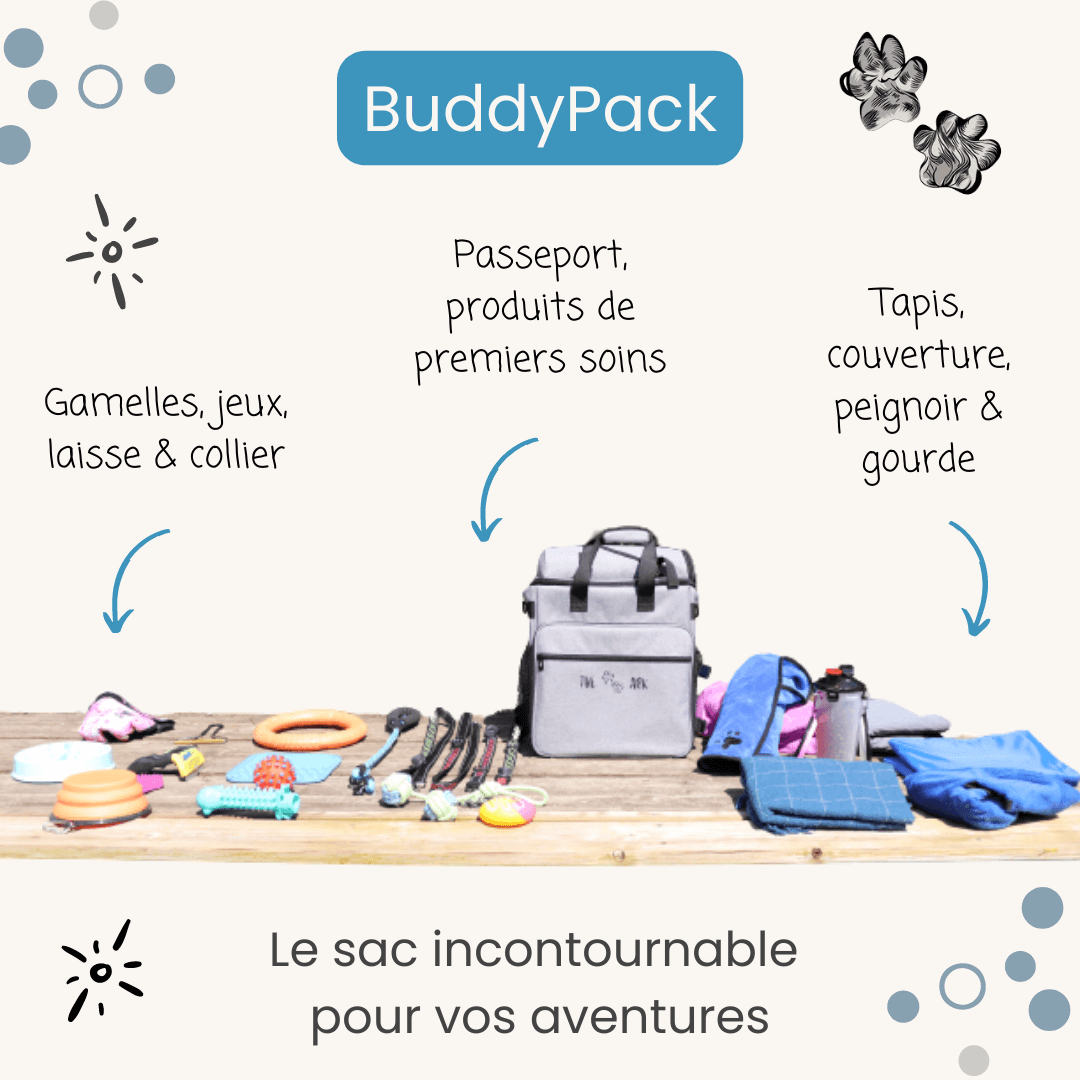 Exemple d'affaires à placer BuddyPack