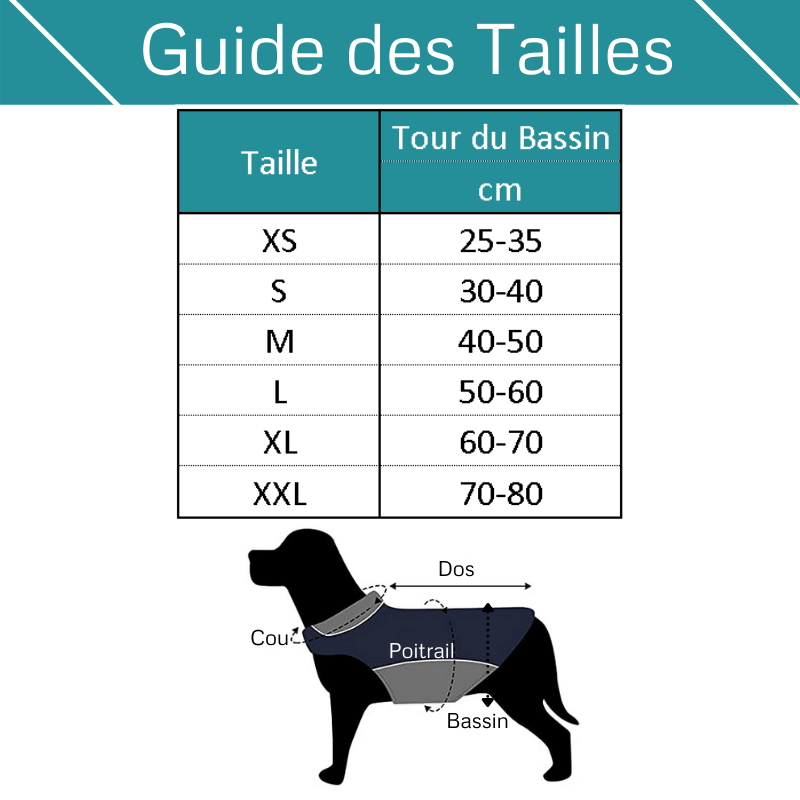 Couche pour chienne guide des tailles