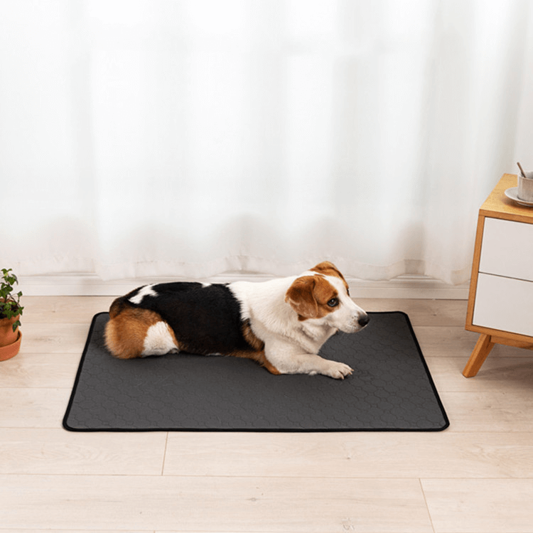 Tapis Hygiénique avec chien