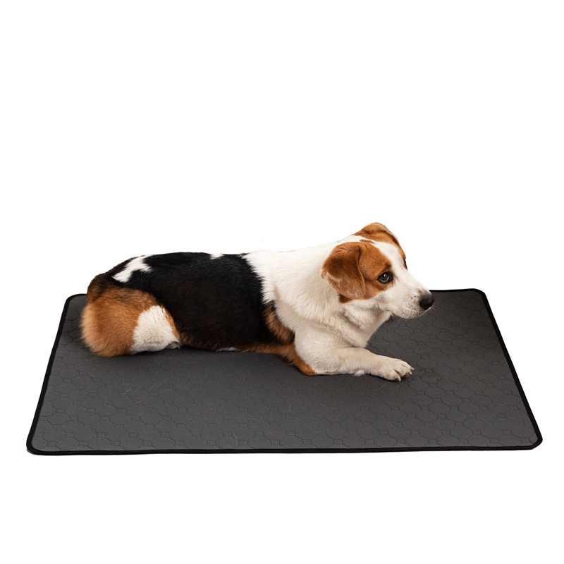 Tapis Hygiénique gris avec un chien