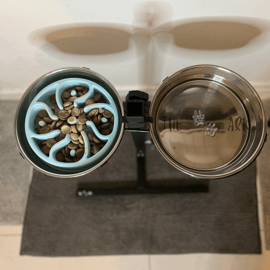 BuddyBowl - Bols réglable en hauteur